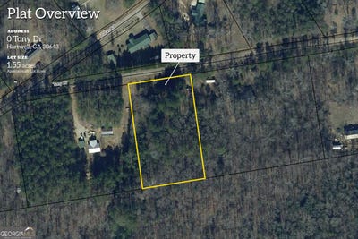 /international/us/tony-drive-hartwell-ga-110120465385/