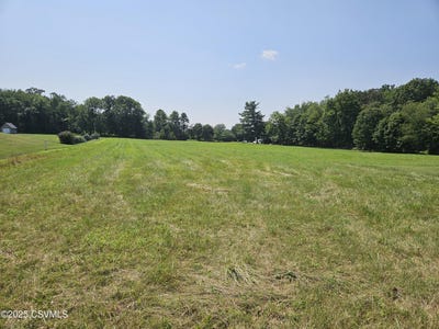 /international/us/lot-29-carol-drive-berwick-pa-110101349843/?lang=en