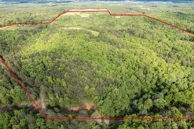 /international/us/4203-county-road-25-double-springs-al-110100677318/?lang=pt