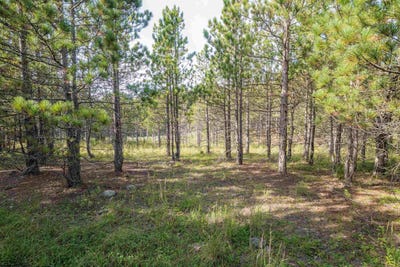 /international/us/3-crosscut-way-davis-wv-110110273019/