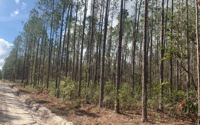 /international/us/tdb-ne-25th-dr-jasper-fl-110097335665/