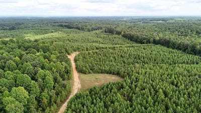 /international/us/county-road-5131-ms-110102305683/