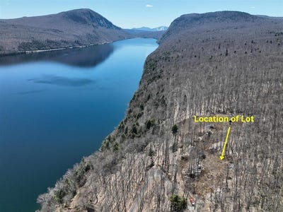 /international/us/foliage-lane-lot-1b-westmore-vt-110098335699/