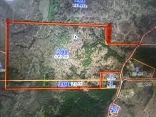 /international/us/2951-county-road-100-walnut-ms-110107312778/