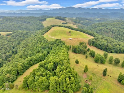 /international/us/000-strong-hollow-lane-fort-blackmore-va-110101349565/?lang=en