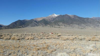 /international/us/148-toiyabe-street-austin-nv-110100215472/