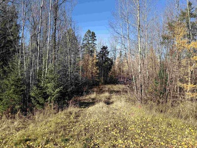 /international/us/6027-n-county-hwy-m-winter-wi-110103226495/