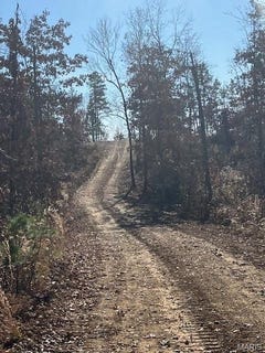/international/us/54-madison-cr-410-fredericktown-mo-110090742883/