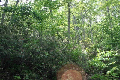 /international/us/42-high-valley-south-monterey-va-110100326031/