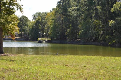 /international/us/670-goat-hill-road-ridgeway-sc-110120486988/