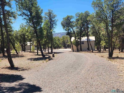 /international/us/112-paradise-road-quemado-nm-110108068810/
