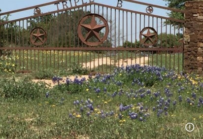 /international/us/570-cr-253-rochelle-tx-110120466253/