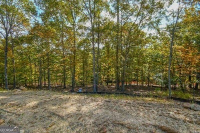 /international/us/3019-turning-creek-dacula-ga-110100951086/?lang=zh-cn
