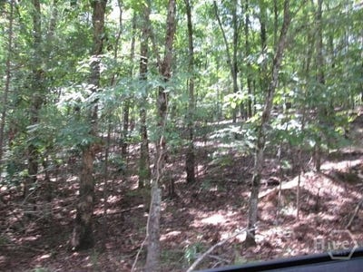 /international/us/lot-75-bramlett-drive-elberton-ga-110101491226/?lang=zh-cn