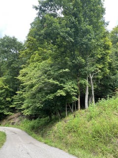 /international/us/lot-4-moore-road-lavalette-wv-110101095310/