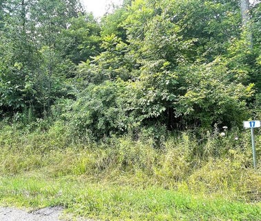 /international/us/hemlock-hills-rd-lot-17a-towanda-pa-110102852561/