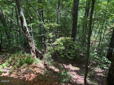 /international/us/lot-1302-balsam-circle-sevierville-tn-110101288797/?lang=zh-tw
