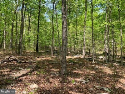 /international/us/woodmont-road-great-cacapon-wv-110099702709/?lang=en