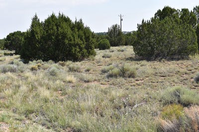 /international/us/30-dawn-lane-concho-az-110090693039/