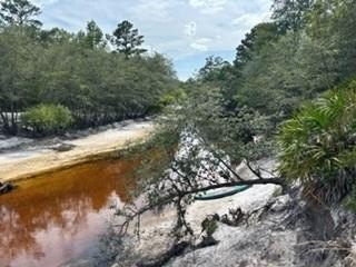 /international/us/0000-st-mary-s-river-bluff-ltd-saint-george-ga-110100037432/