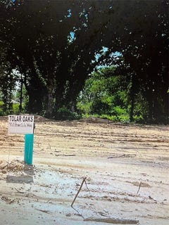 /international/us/453-peace-lily-way-tolar-tx-110084561930/