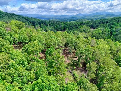 /international/us/off-mason-road-brasstown-nc-110100034284/
