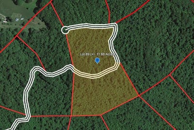/international/us/258-eagle-s-nest-ridge-bragg-wv-110102319646/