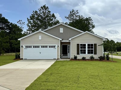 /international/us/1000-par-three-court-lot-86-manning-sc-110099514447/