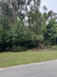 /international/us/reynolds-ave-broxton-ga-110120456242/