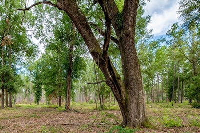 /international/us/221-ac-crestview-road-arlington-ga-110100592191/