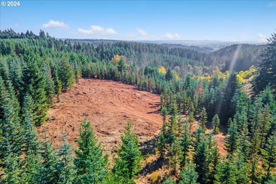 /international/us/nw-lodge-rd-banks-or-110094994383/