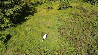 /international/pr/pr-928-km-4-4-int-camino-arturo-hernandez-san-lorenzo-san-lorenzo-110105767348/