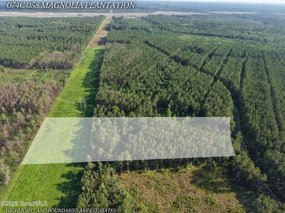 /international/us/v-l-58-magnolia-plantation-white-oak-ga-110108979759/?lang=pt