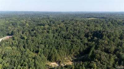 /international/us/magnolia-circle-centreville-al-110106448897/