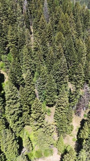 /international/us/74-burnt-wagon-trail-donnelly-id-110099896771/?lang=zh-tw