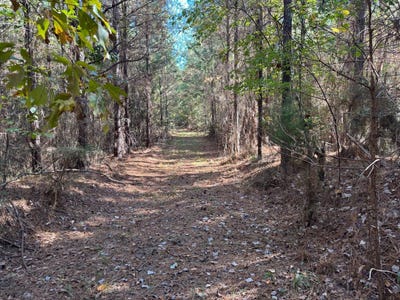 /international/us/smith-county-road-18-5a-bay-springs-ms-110104993516/