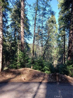 /international/us/687-spring-drive-cedarpines-park-ca-110097740055/?lang=zh-tw