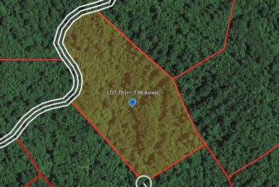 /international/us/210-eagles-nest-ridge-bragg-wv-110103327031/