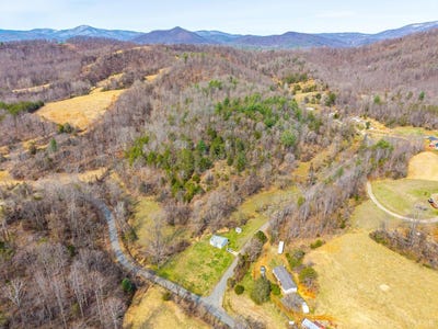 /international/us/puppy-creek-amherst-va-110106477265/