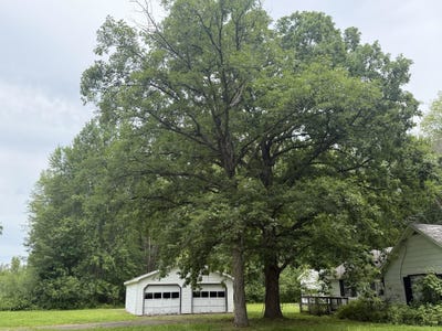 /international/us/4428-old-41-road-oconto-wi-110109166278/