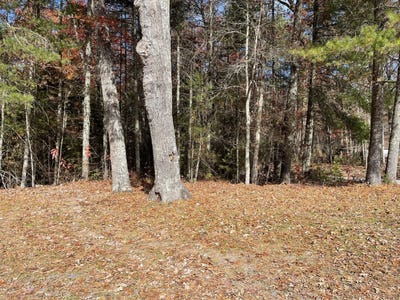 /international/us/2075-wright-mountain-rd-rock-wv-110085910380/