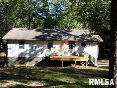 /international/us/16335-n-county-road-1800-e-havana-il-110120130154/