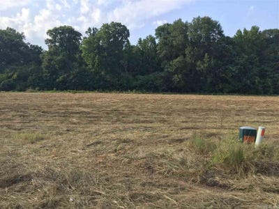 /international/us/lot-73-mound-view-drive-england-ar-110094564299/
