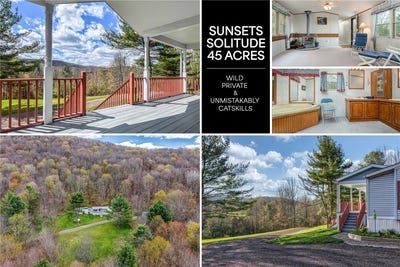 /international/us/1264-betty-brook-road-south-kortright-ny-110108010109/
