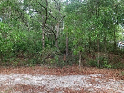 /international/us/209-highline-trail-satsuma-fl-110107347087/
