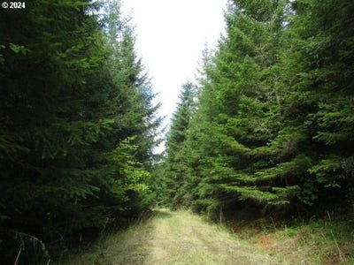 /international/us/0-bellinger-scale-1-rd-lebanon-or-110095112773/