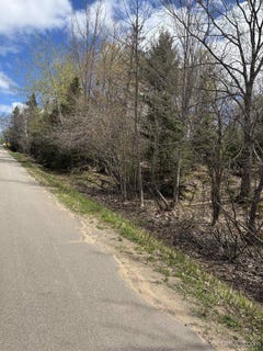 /international/us/al-county-road-champion-mi-110110145246/