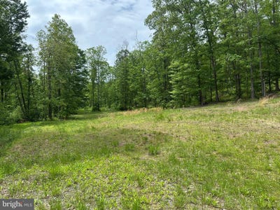 /international/us/389-2-acres-woodmont-road-great-cacapon-wv-110099803420/?lang=zh-tw