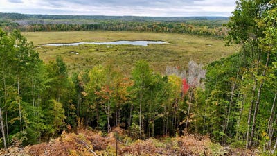 /international/us/tbd-19-norwich-road-ontonagon-mi-110102405789/