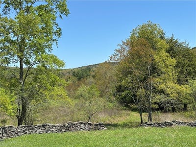 /international/us/bull-run-road-middletown-ny-110099539813/?lang=zh-tw